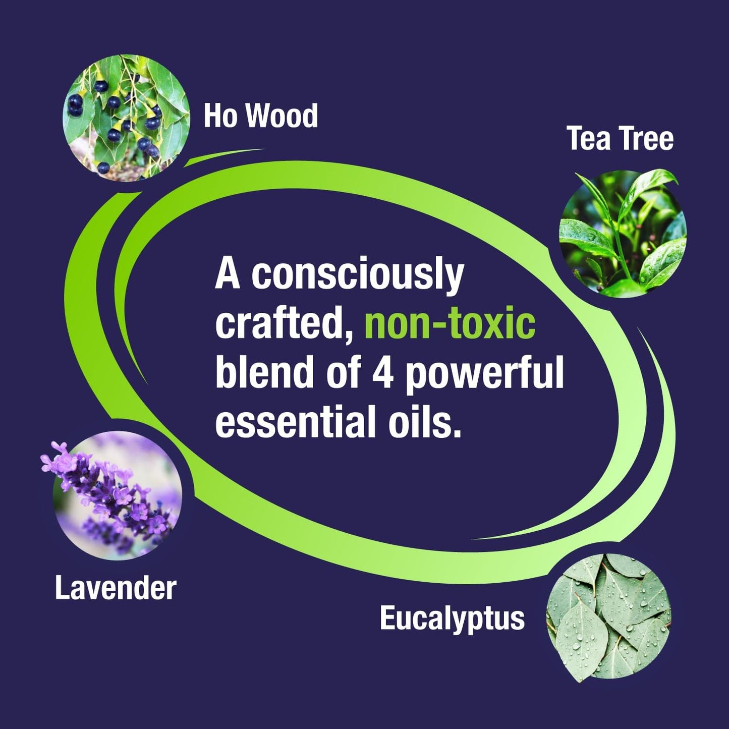 Sports Cleaner and Deodorizer - Sports Gear Odor Eliminator, Boxing Glove Deodorizer, Gym Equipment Spray, Natural and Plant Based, 16 Fl Oz (1-Pack)