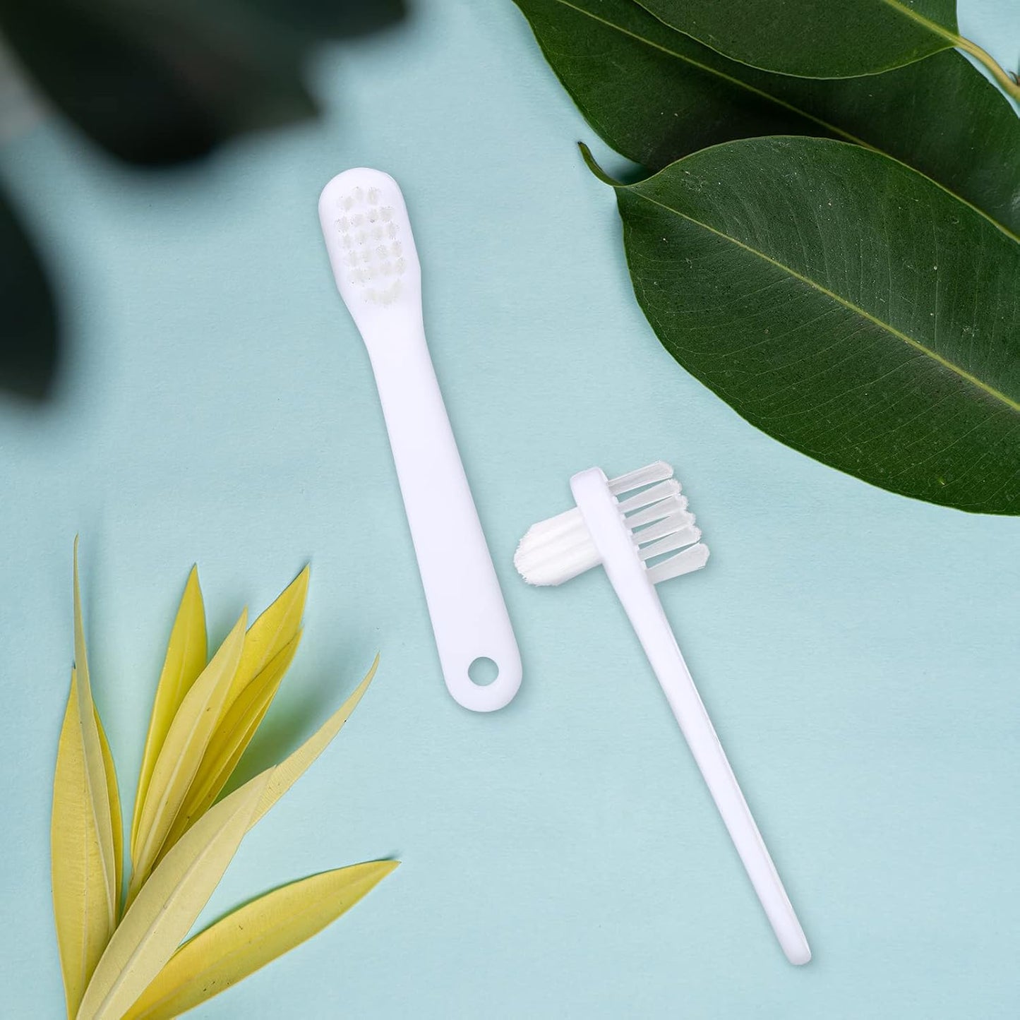 Denture Brush Dual Head Toothbrushes Hard Denture Cleaning Brush Denture Toothbrush Cleaning Brush False Teeth Brush Toothbrush for False Teeth Cleaning, 2 Colors (12 Pieces)